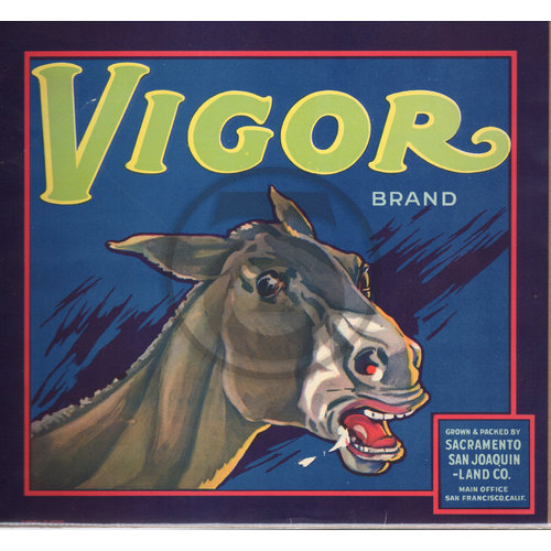 Vigor Brand