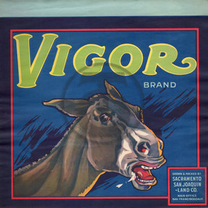 Vigor Brand