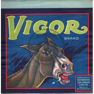 Vigor Brand Vigor Brand
