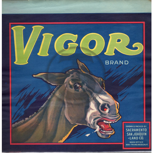 Vigor Brand