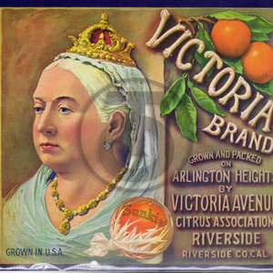 Victoria Brand