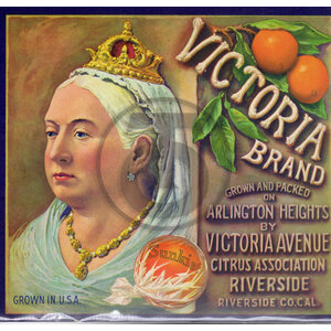 Victoria Brand