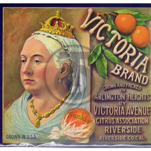 Victoria Brand