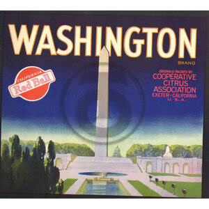 Washington Brand Red Ball Washington Brand Red Ball