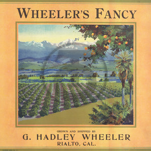 Wheeler's Fancy