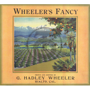 Wheeler's Fancy Wheeler's Fancy