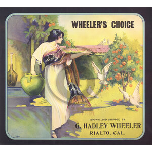 Wheeler's Choice Wheeler's Choice