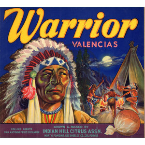 Warrior Brand Valencias