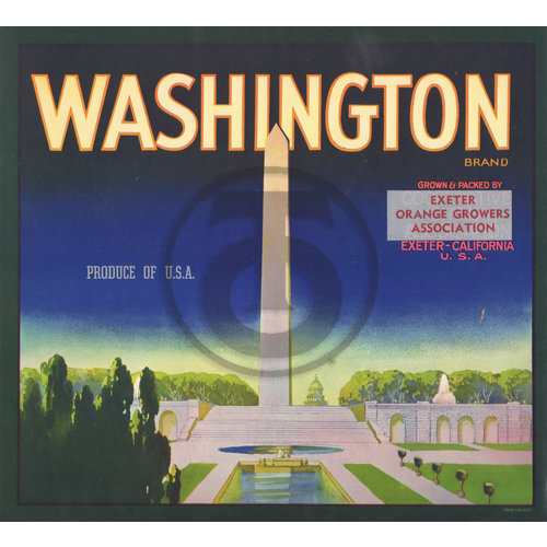 Washington Brand