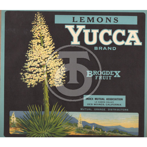 Yucca Brand Lemons Brodgex Fruit