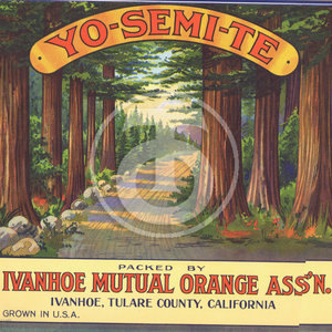 Yo-Semi-Te