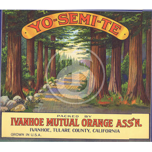 Yo-Semi-Te Yo-Semi-Te