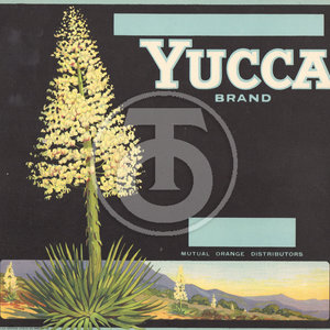 Yucca Brand