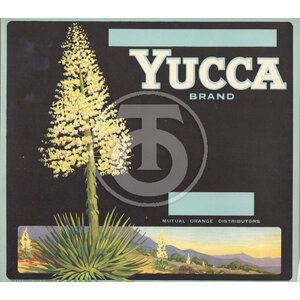 Yucca Brand Yucca Brand