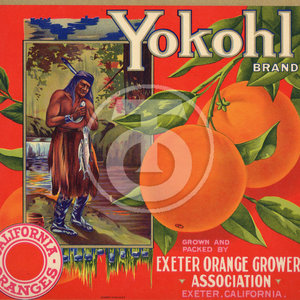 Yokohl Brand California Oranges