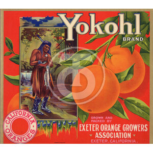 Yokohl Brand California Oranges Yokohl Brand California Oranges