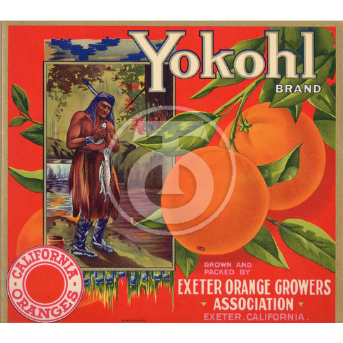 Yokohl Brand California Oranges