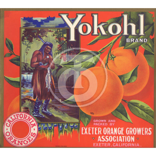 Yokohl Brand California Oranges