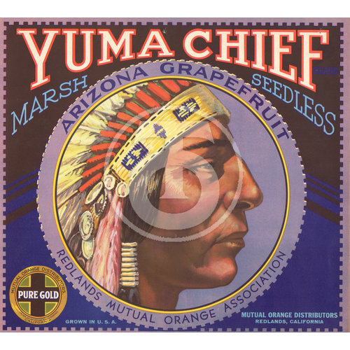 Yuma Chief Marsh Seedless Grapefruit