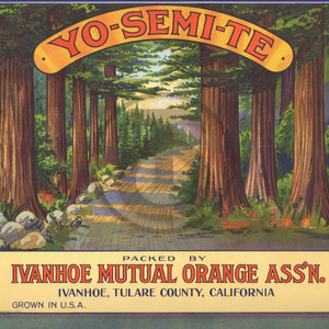 Yo-Semi-Te
