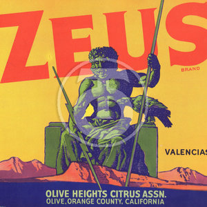Zeus Brand Valencias