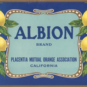Albion Brand Placentia Lemon Albion Brand Placentia Lemon