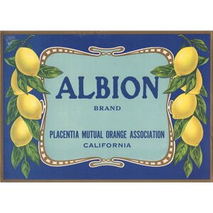 Albion Brand Placentia Lemon Albion Brand Placentia Lemon