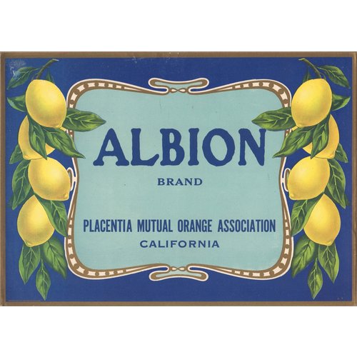 Albion Brand Placentia Lemon