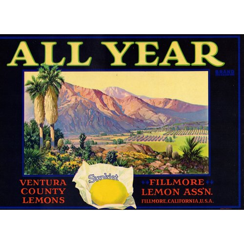 All Year Fillmore Lemon