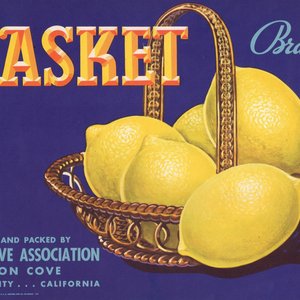Basket Brand Basket Brand