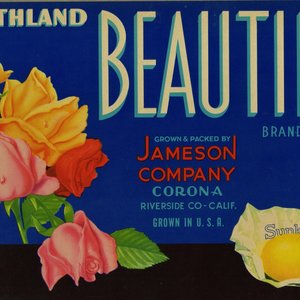 Southland Beauties Brand