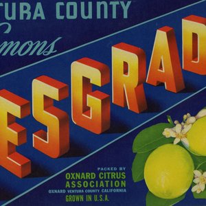 Besgrade Brand Besgrade Brand