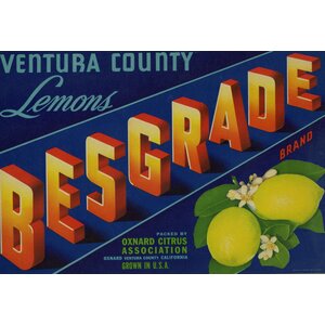 Besgrade Brand Besgrade Brand