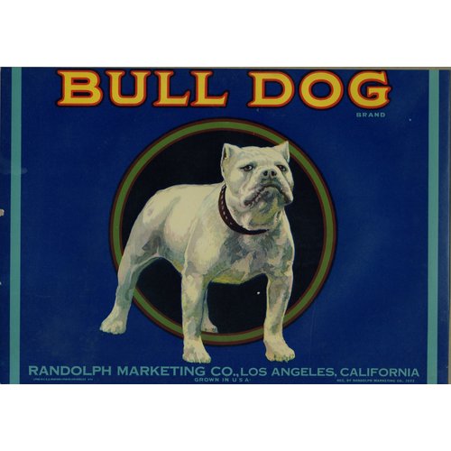 Bull Dog Brand