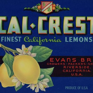 Cal Crest Brand Lemons Cal Crest Brand Lemons