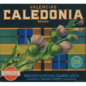 Caledonia Brand Valencias