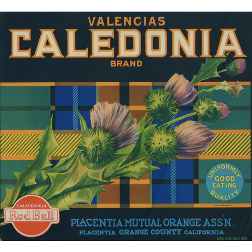 Caledonia Brand Valencias