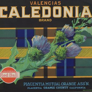 Caledonia Brand Valencias