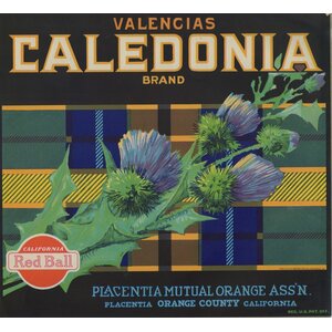 Caledonia Brand Valencias
