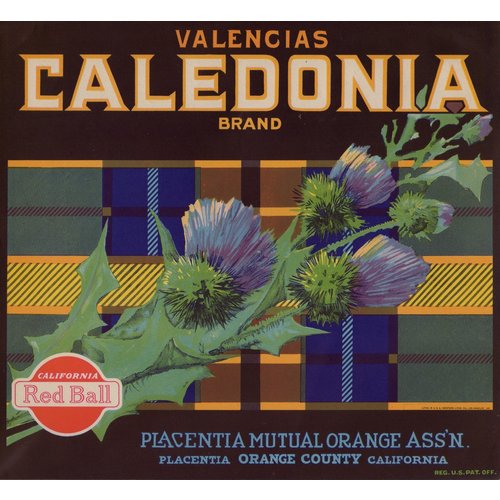 Caledonia Brand Valencias