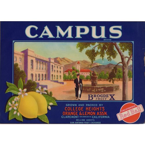 Campus Lemons as is