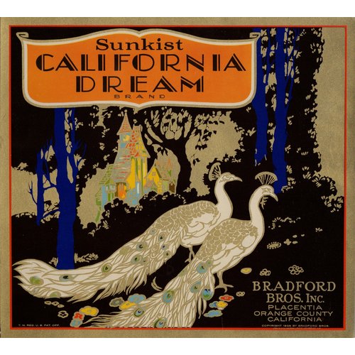 California Dream Sunkist California Dream Sunkist