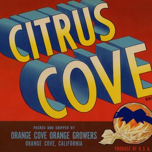 Citrus Cove Citrus Cove