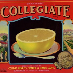 Collegiate Grapefruit