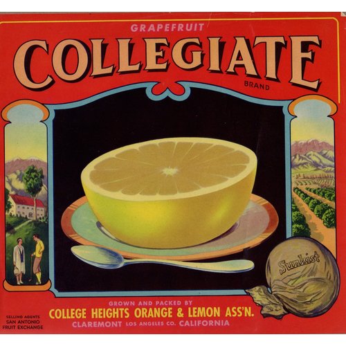 Collegiate Grapefruit