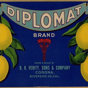 Diplomat Brand Lemons Diplomat Brand Lemons