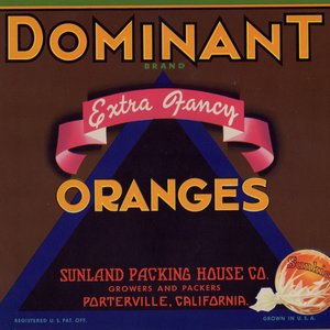 Dominant Brand Oranges Dominant Brand Oranges