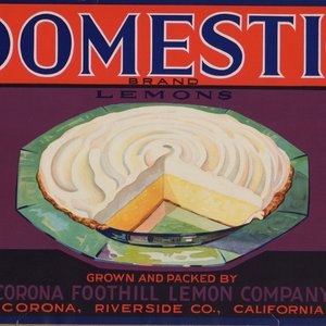 Domestic Brand Lemons