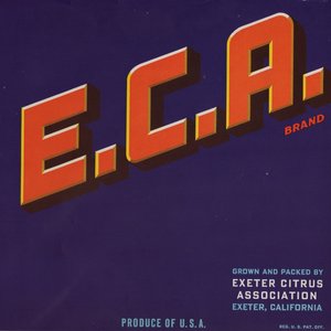 E. C. A. Brand