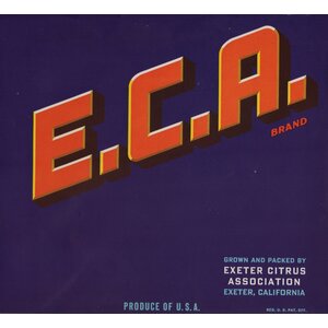 E. C. A. Brand